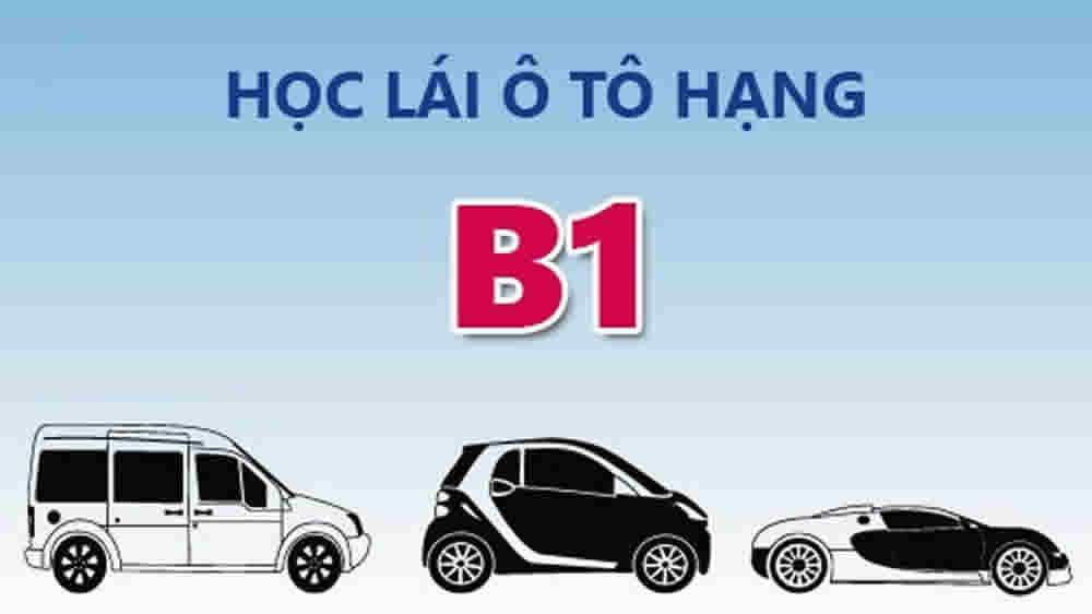 Điều Kiện Học Và Thi Sát Hạch Hạng B1 (Số tự động)